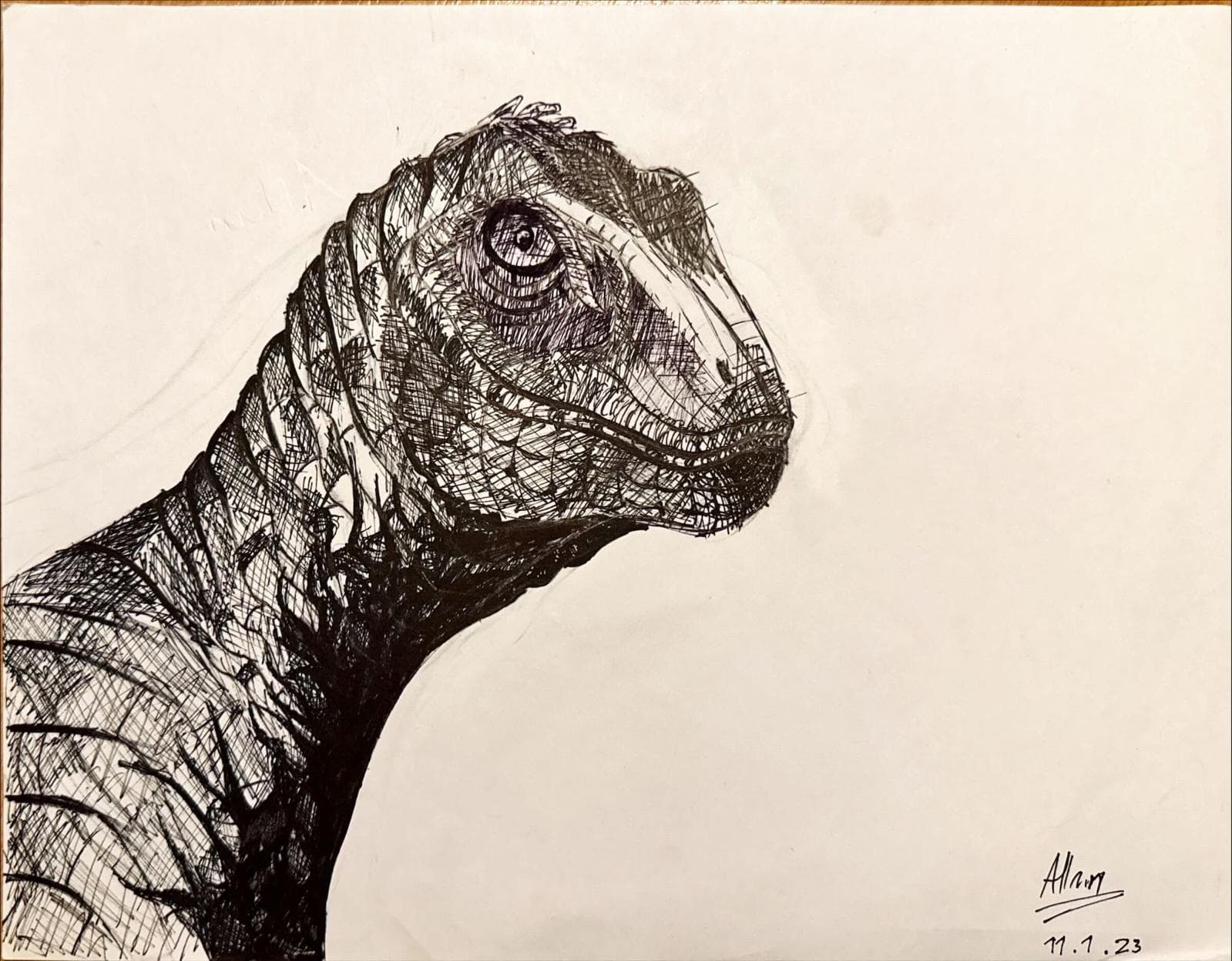 Dinosaur Art